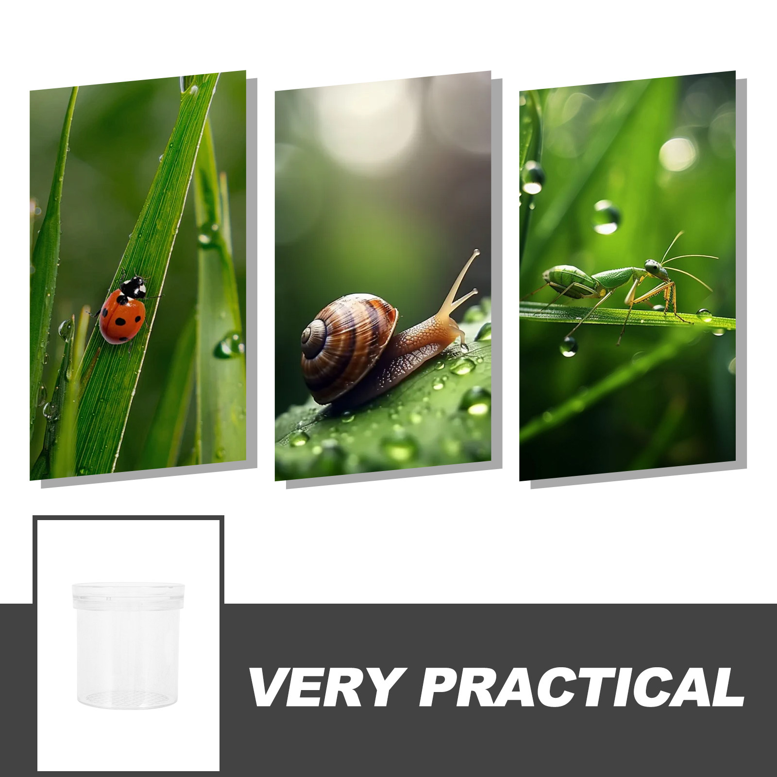 3X Magnifying Insect Observati - огляд і ціна Kids Outdoor Tools